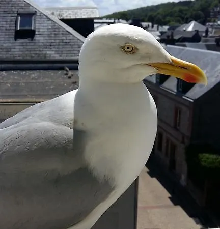 Les Galets Bleus Bed & Breakfast 3*