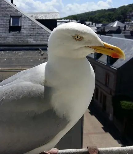 Les Galets Bleus Couette-café 3*